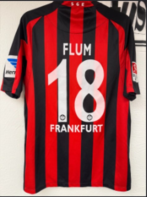 Flum Johannes Trikot, Rückseite, 2013/14