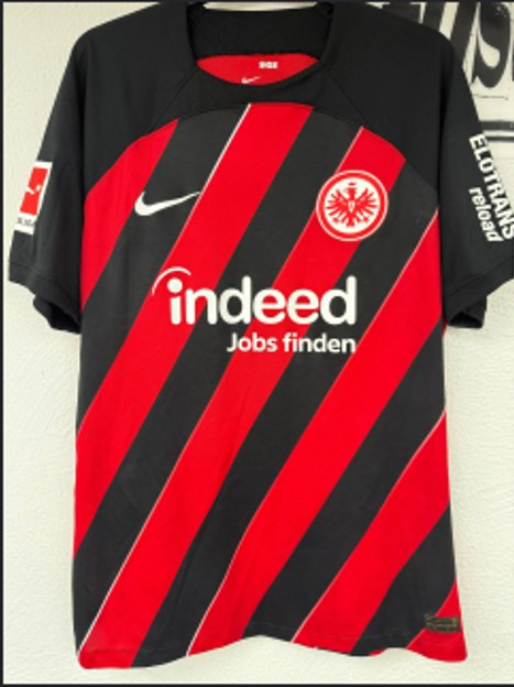 Koch Robin Trikot, Vorderseite, 2023/24